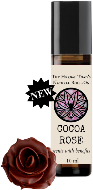 Cocoa Rose (700x700), Png Download