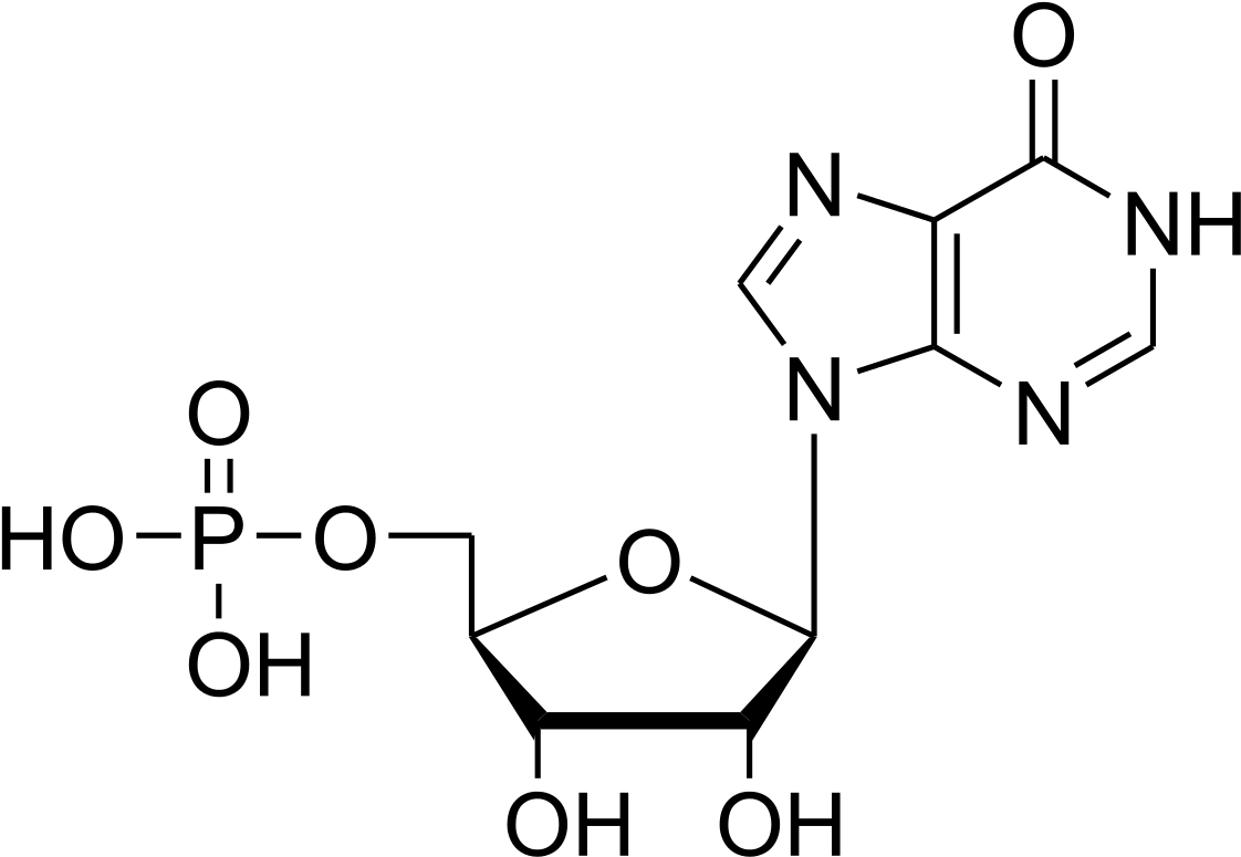 4 Hydroxyphenylpyruvate (1200x800), Png Download
