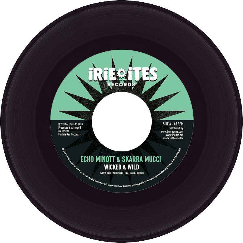 Skarra Echo Vinyl - Keçiören Eğitim Ve Araştırma Hastanesi (900x900), Png Download