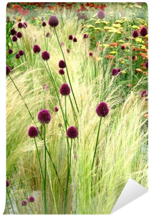 Then Came You Ebook (400x400), Png Download