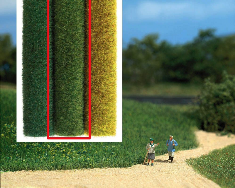 50x40cm Light Green Wild Grass Mats (800x800), Png Download