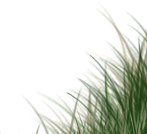 Apple Apple - Apple (495x453), Png Download