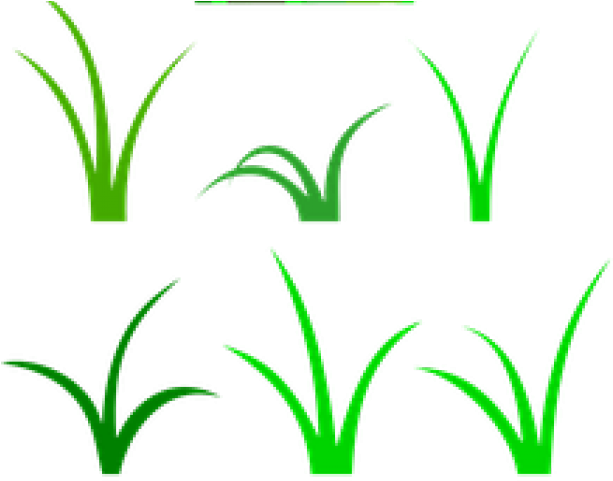 Sea Grass Clipart Wild Grass - Clip Art (640x480), Png Download