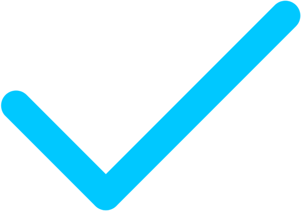 Checkmark - Portable Network Graphics (1000x816), Png Download