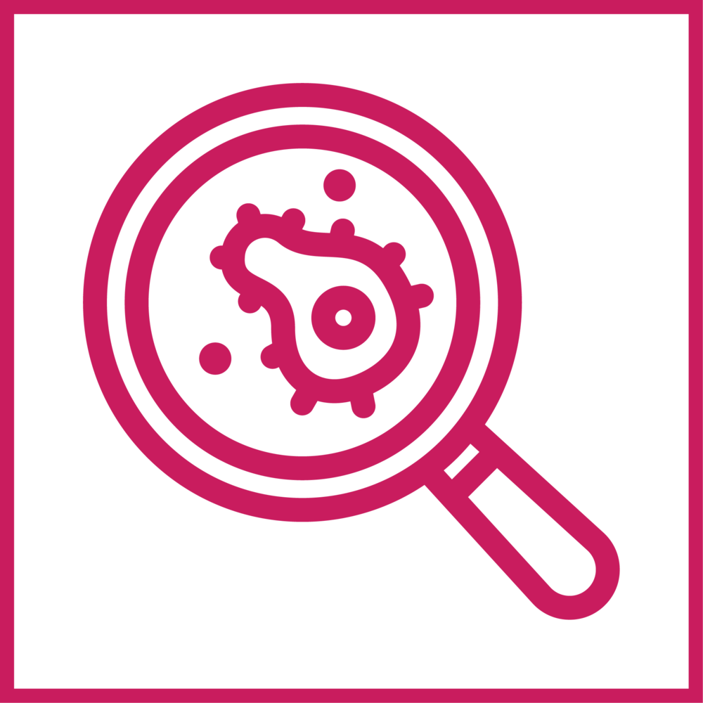 Discovery Icon - Ayuntamiento De La Laguna (1000x1000), Png Download