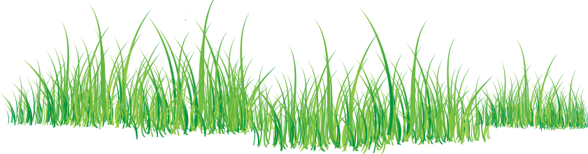 Greengrass Png (841x221), Png Download