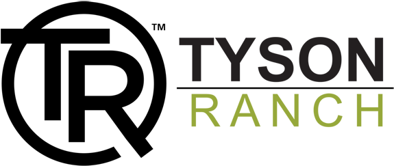Enter - Tyson Die On The Dancefloor (601x252), Png Download