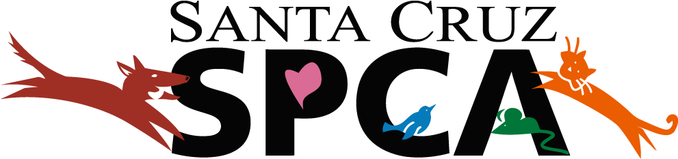 Santa Cruz Spca - Santa Cruz Spca Logo (1000x265), Png Download