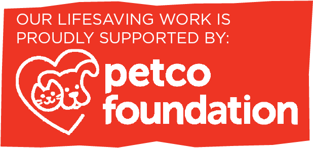 Thank You, Petco Foundation - Graphic Design (625x313), Png Download