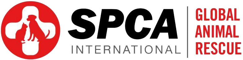 About Spca International - Spca Global Logo Png (800x221), Png Download
