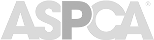 Helping Great Brands Create Great Work - Aspca Logo (484x256), Png Download