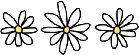 Flowers, Daisy, And Tumblr Image - Transparent Daisy (489x248), Png Download