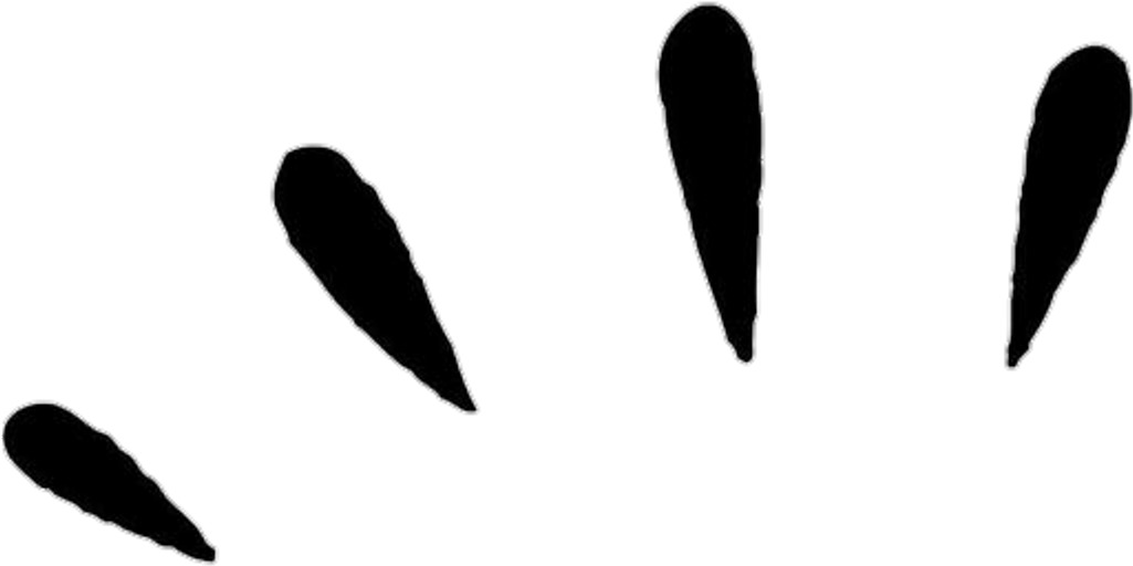 Flechas Png (1024x1024), Png Download