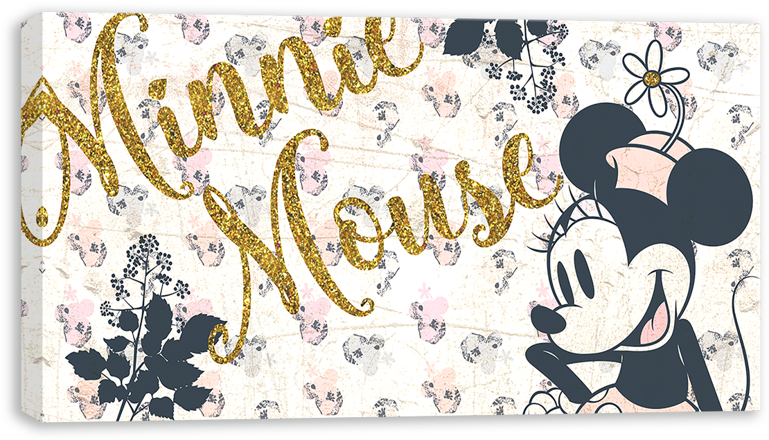 Minnie Vintage Flower Banner - Blusa Da Minnie Vintage (1280x1280), Png Download