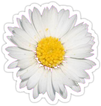 Daisy Sticker Tumblr - Cute Tumblr Tumblr Sticker (375x360), Png Download