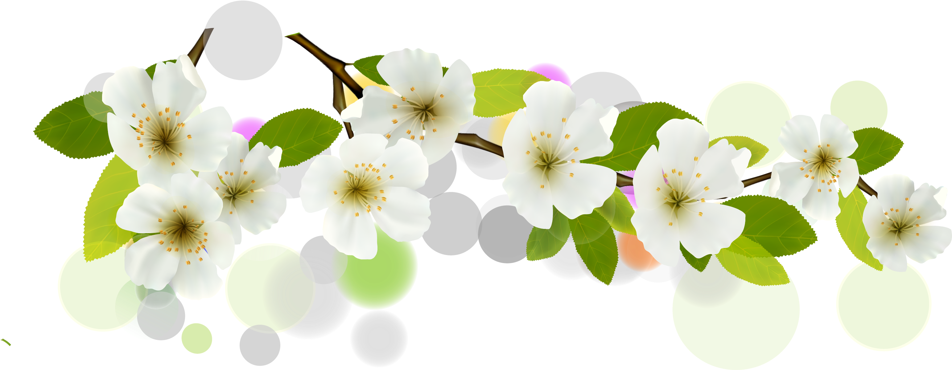 Download Flower Euclidean Vector White Banner - Floral Png Banner