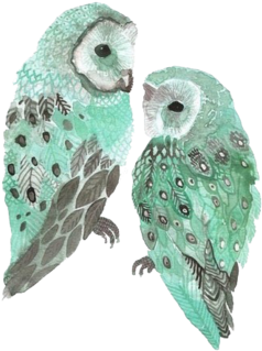 Tumblr N2c2h6eo9p1sksoifo1 - Cafepress Floral Owl Iphone 6/6s Tough Case (360x360), Png Download