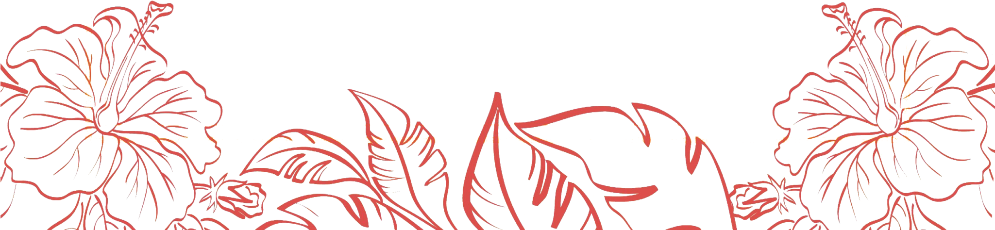Flower Banner (2048x484), Png Download