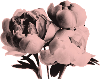 Watt (409x312), Png Download