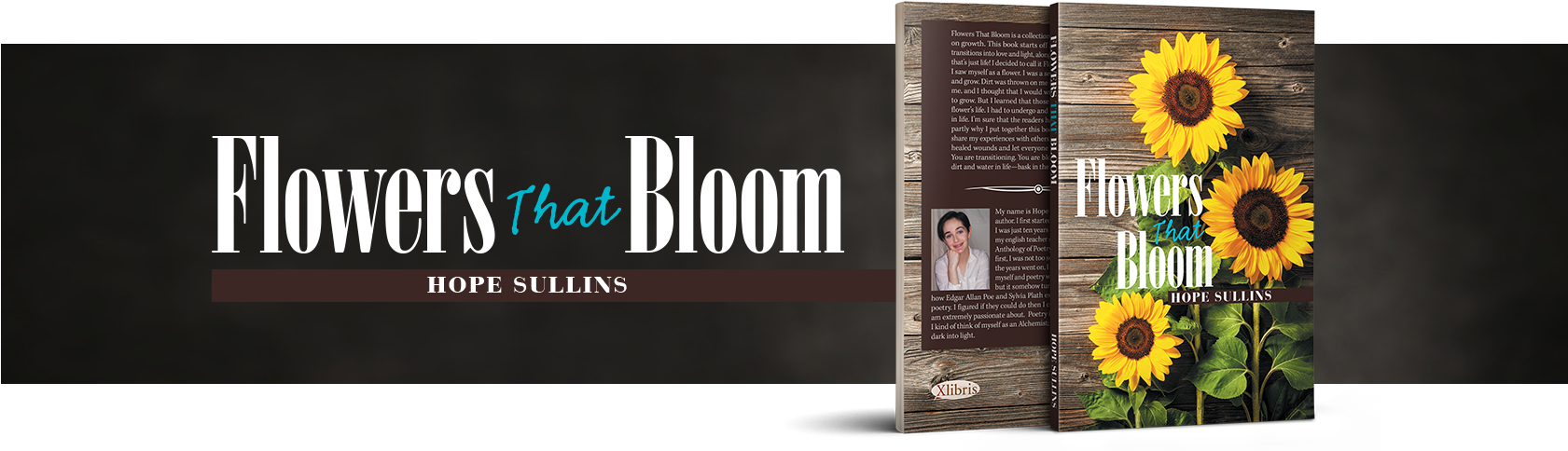 Blowout In Little Man Flats: And Other Spine-tingling (1680x503), Png Download