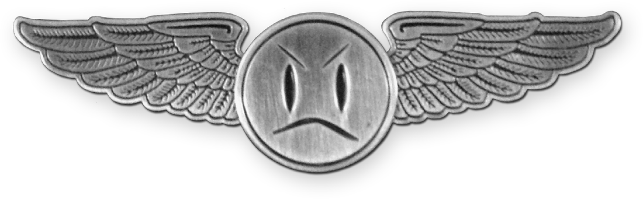 Metal Wings Png - Flight Attendant Wings Png (2064x640), Png Download