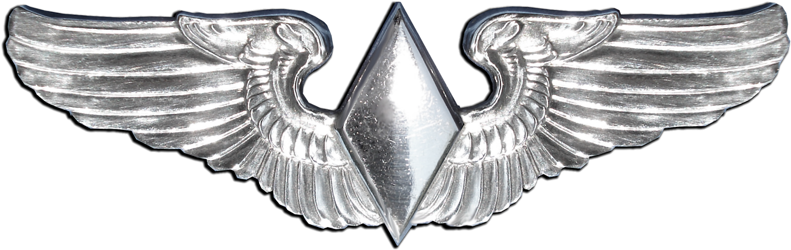 Honor Of Women's History Month And The Third Anniversary - Women Airforce Service Pilots Wings (1600x621), Png Download