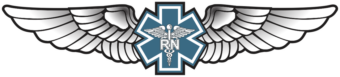 Wings Clipart Nurse - Navy Pilot Wings Logo (1100x250), Png Download