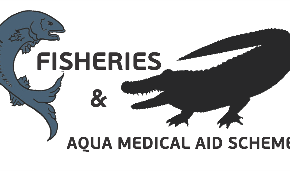 Fish Logo - Medicine (960x568), Png Download