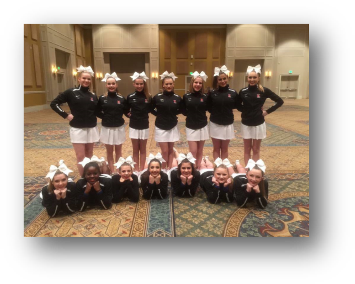 Go Lions Cheerleaders - Troop (1248x1003), Png Download