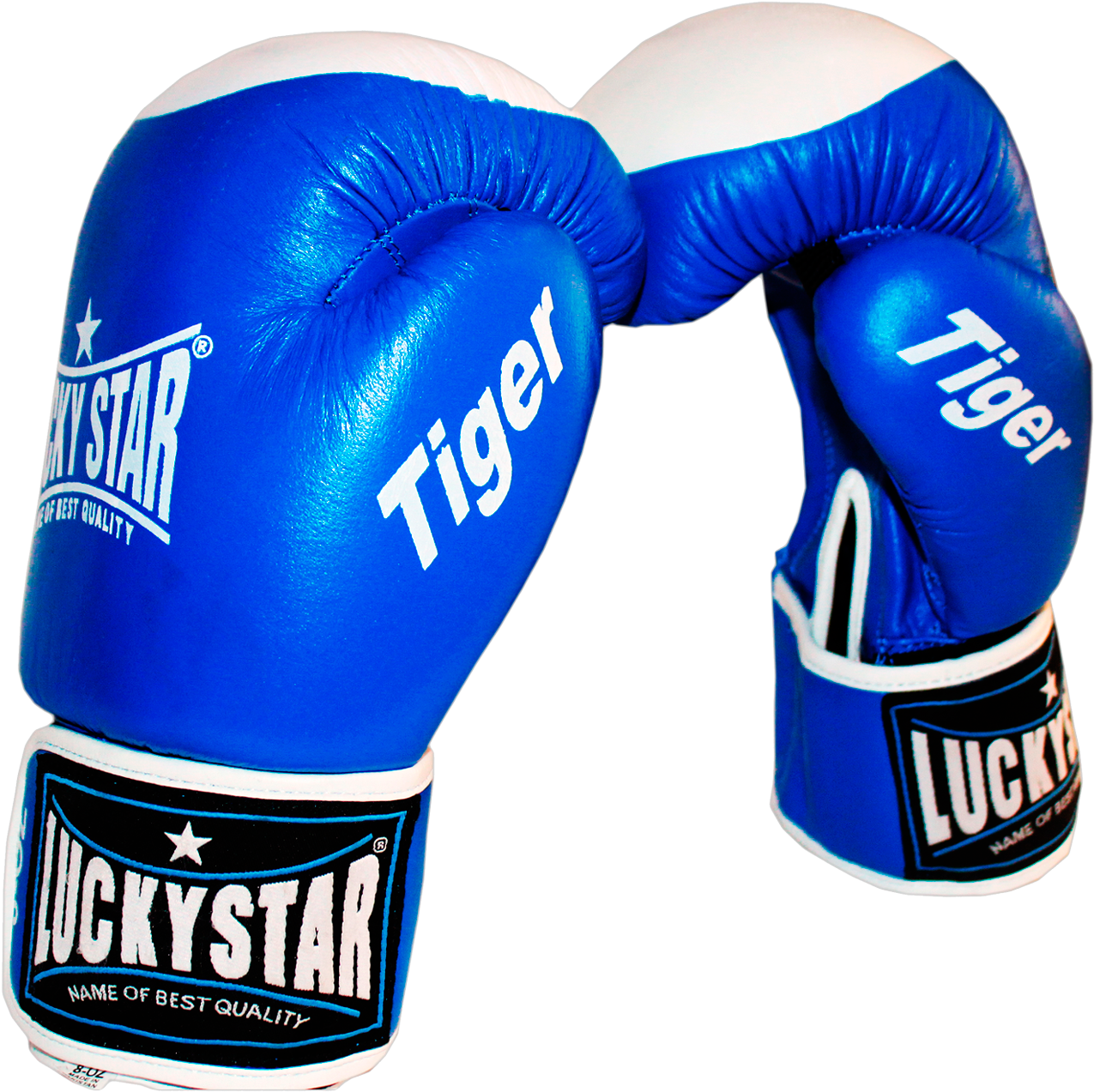 Lucky Star Boxing Gloves Leather “tiger” Blue - Professional Boxing (1350x1350), Png Download