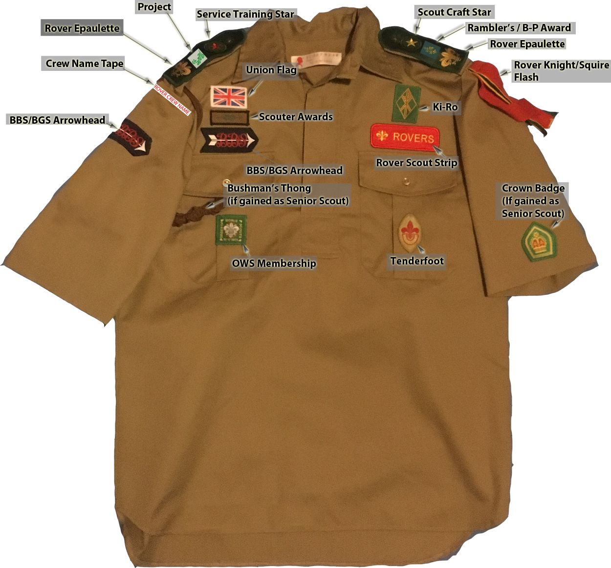 Ows Scout (1250x1162), Png Download