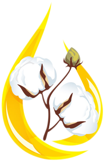 Raw Cotton - Refined Cotton Seed Oll (415x325), Png Download