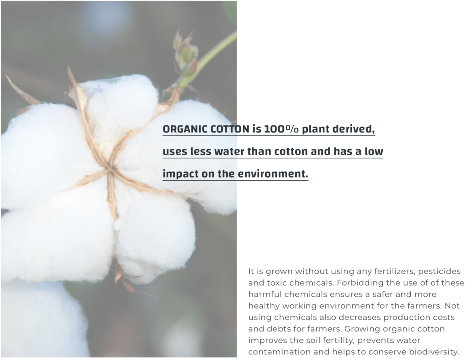 Organic Cotton New - Raw Cotton (1000x750), Png Download
