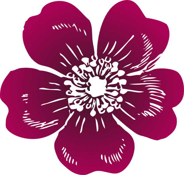 Wild Rose Clip Art - Wild Rose Clipart (600x570), Png Download