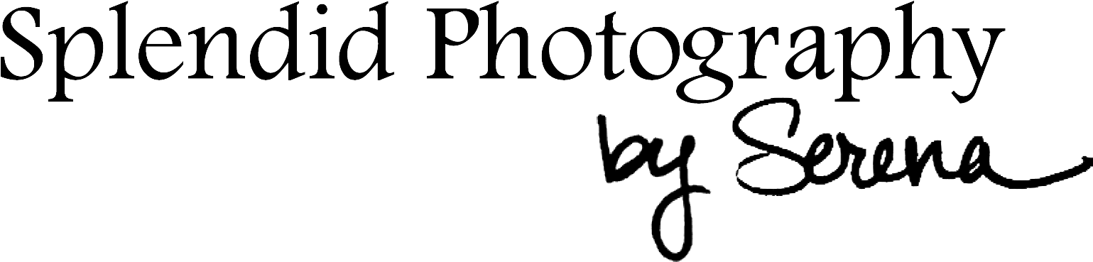 central Wisconsin Children's Museum 1100 Main Street - Lorenz Tidings Of Comfort And Joy (1650x450), Png Download