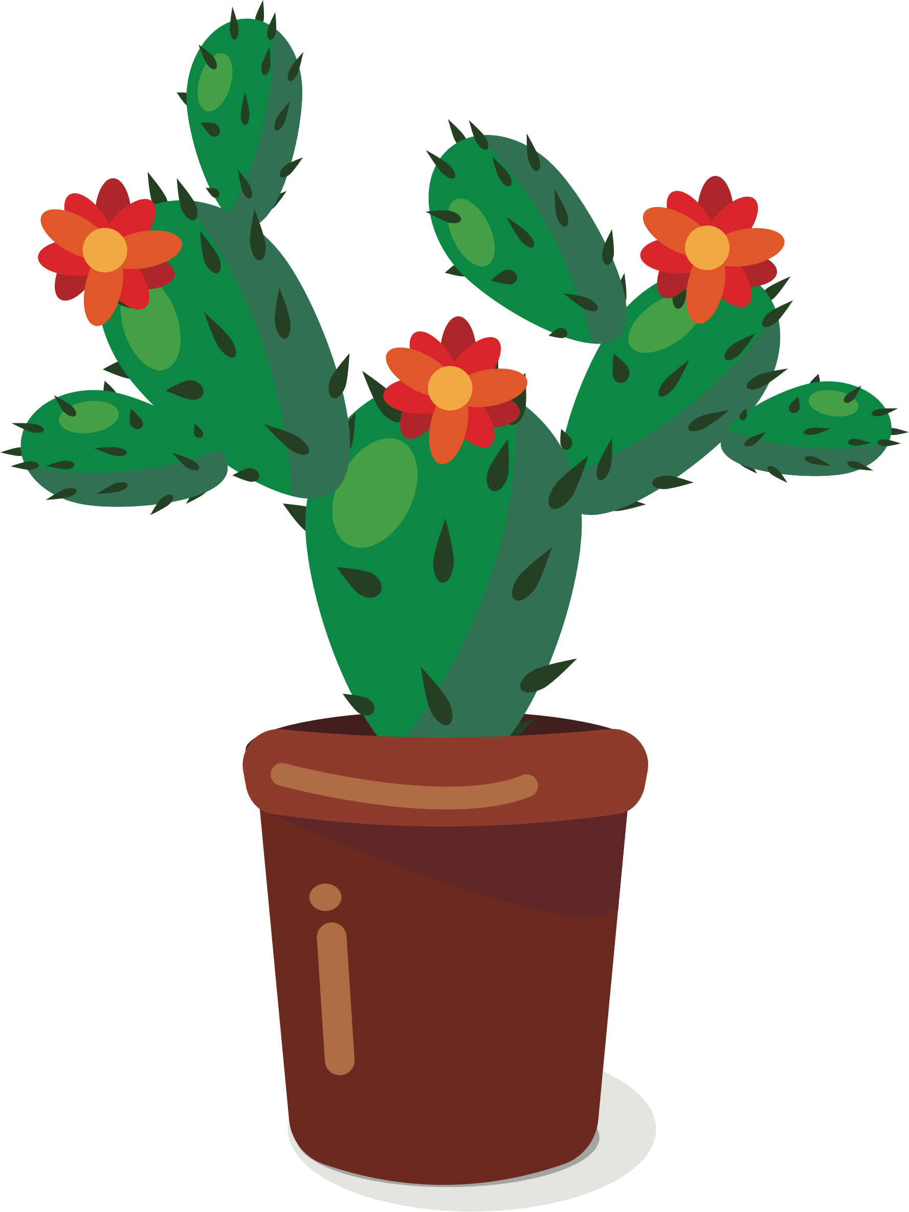 Cactus Download Plants Flower Nuvola - Clipart De Cactus (562x750), Png Download