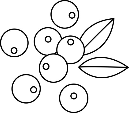 Jpg Transparent Berries Clipart Outline Free On Dumielauxepices - Clip Art (550x479), Png Download