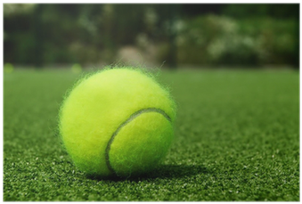 Paddle Tennis (400x400), Png Download