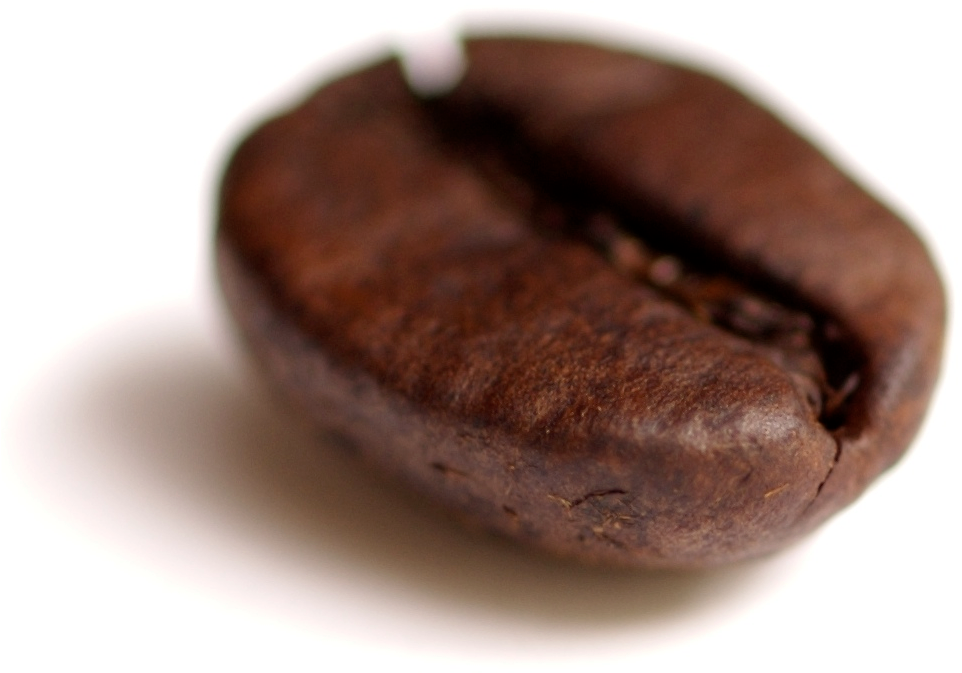 Coffee Bean Transparent - Single Coffee Bean Png (1005x1005), Png Download