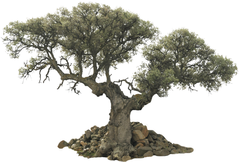 Happy Anniversary Scrapbook [book] (800x570), Png Download