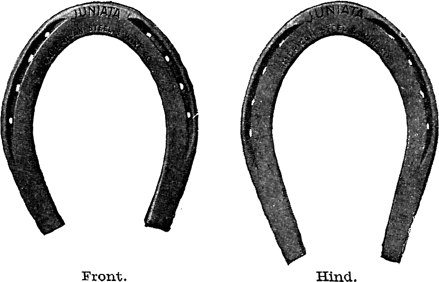 Horse Shoe Free Horseshoe Clip Art Images Clipartfest - Horseshoe (1165x805), Png Download