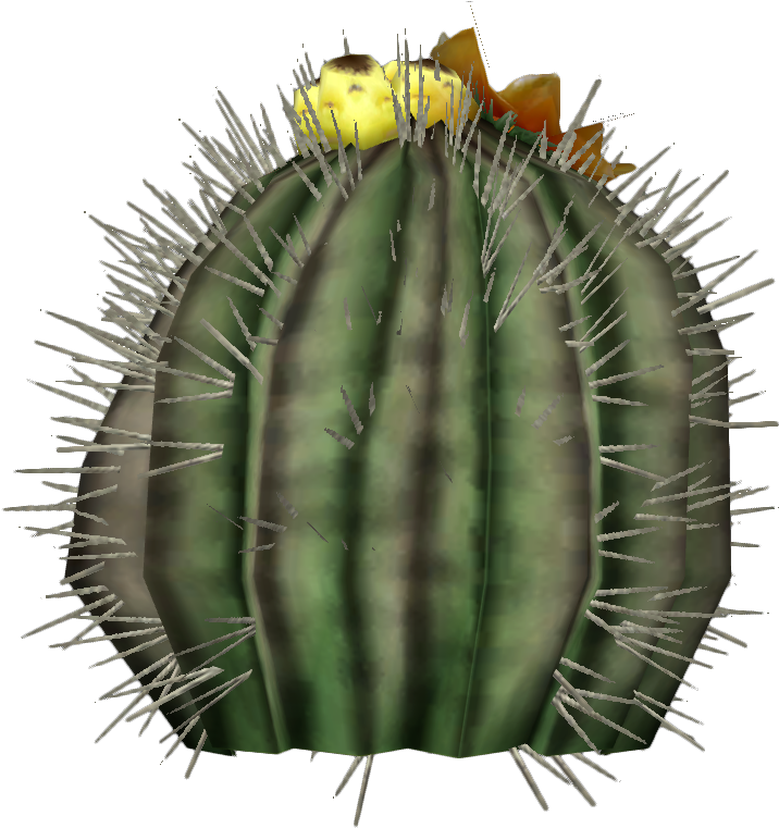 Barrel Cactus Plant - Echinocactus Platyacanthus Png (750x800), Png Download