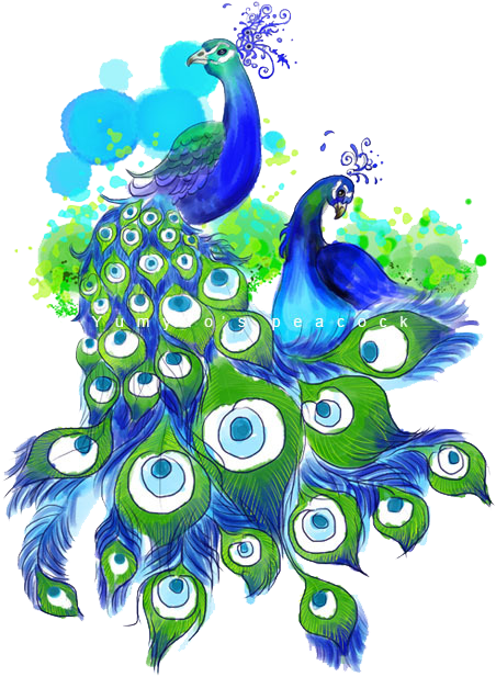 卡通手绘孔雀 - Rainbowsky Animal Peacock Mini Portable Pocket Purse (461x652), Png Download