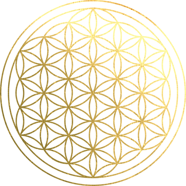 About Flower Of Life - Flower Of Life Pink (720x720), Png Download