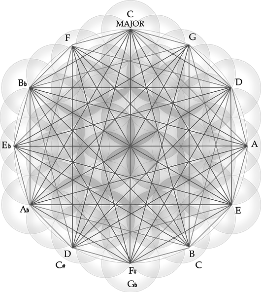 Photo - Photograph (530x592), Png Download