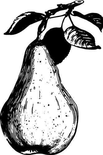 Png - Poire Williams (333x500), Png Download