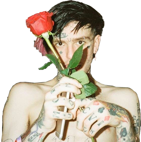 Lilpeep Lil Peep Xxxtentacion Rap Hiphop Music Boy - Lil Peep With Flower (559x564), Png Download
