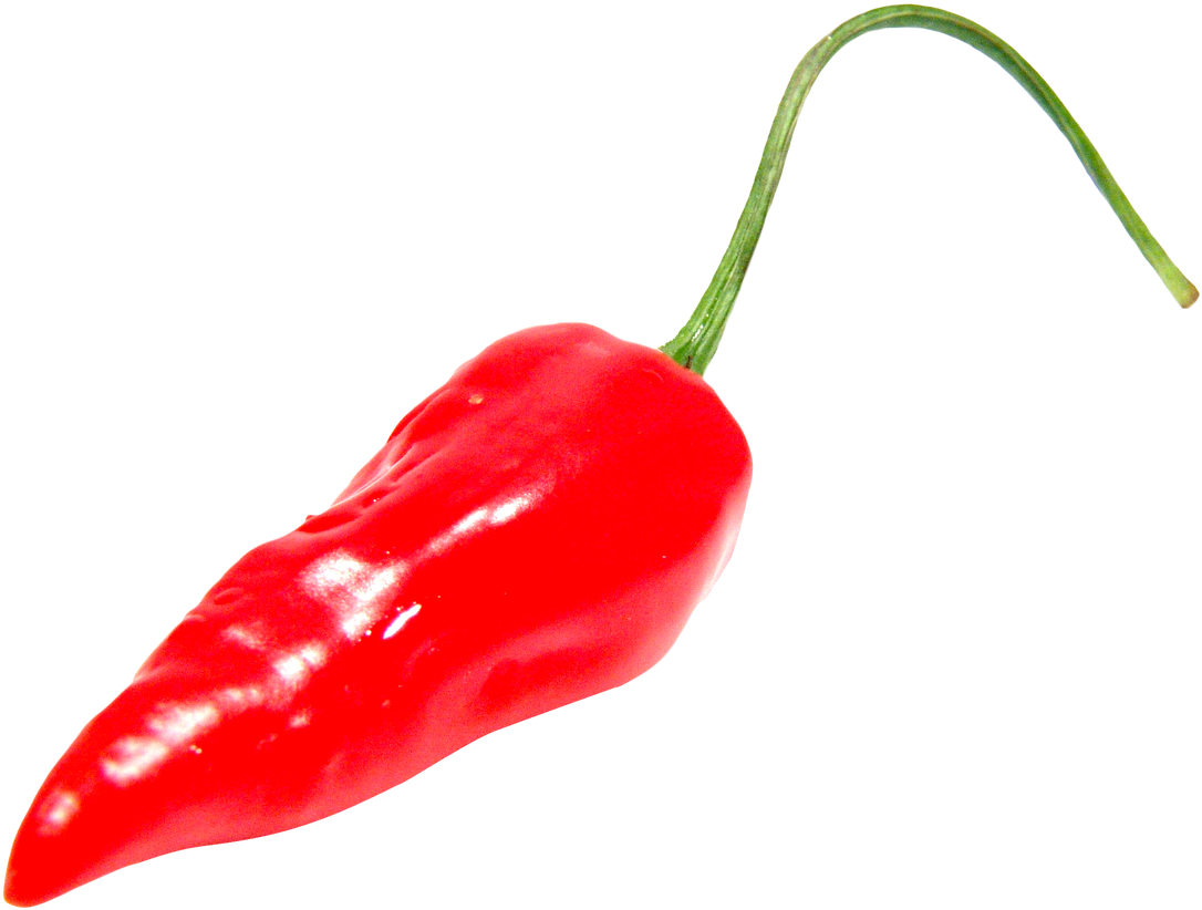 Yükle Chili Con Carne Bell Pepper Chili Pepper Portable - Chilli Pepper Png (1200x904), Png Download