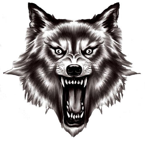 League - Wolf Head Transparent Background (495x480), Png Download