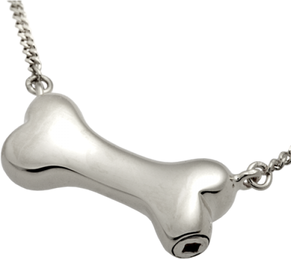 Wholesale Pet Cremation Jewelry Silver Dog Bone Urn - Dog Bone Urns Necklace (500x500), Png Download